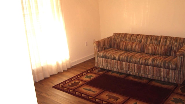 living room featuring hardwood / wood-style flooring and a healthy amount of sunlight