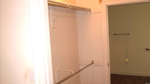 spacious closet with dark wood-type flooring