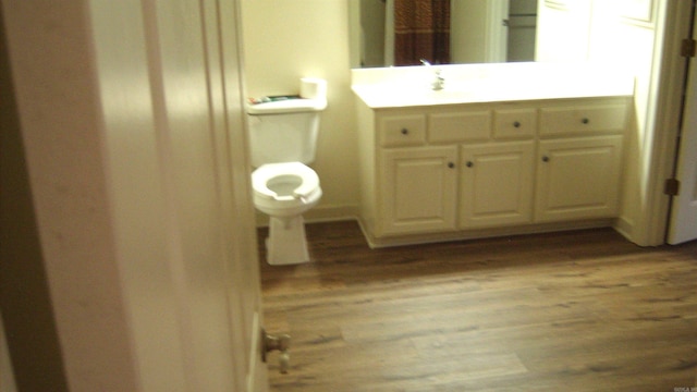 bathroom featuring vanity, wood-type flooring, and toilet