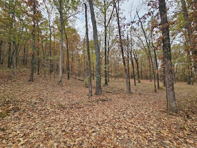 Listing photo 3 for 7501 Dorsey Rd, Jacksonville AR 72076