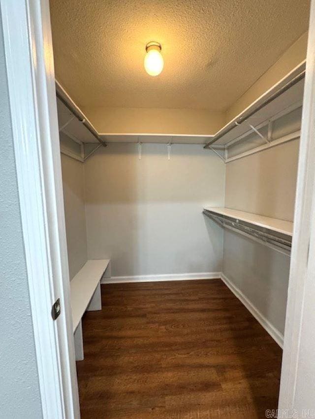 walk in closet featuring dark hardwood / wood-style flooring