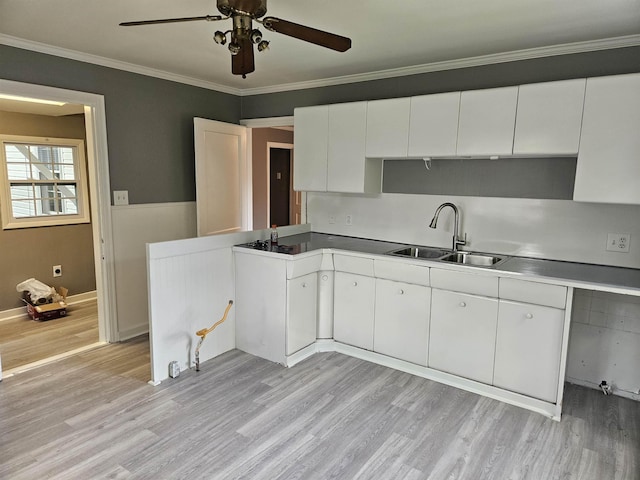 kitchen with sink, crown molding, light hardwood / wood-style floors, and white cabinets