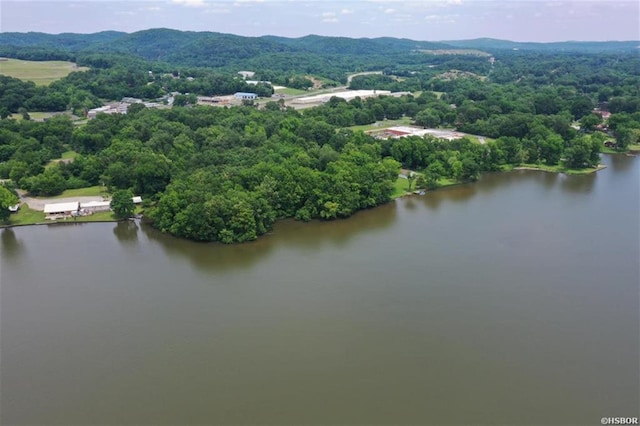 XXX Rivermist Pt, Hot Springs AR, 71901 land for sale