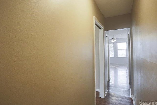 hall featuring dark hardwood / wood-style flooring