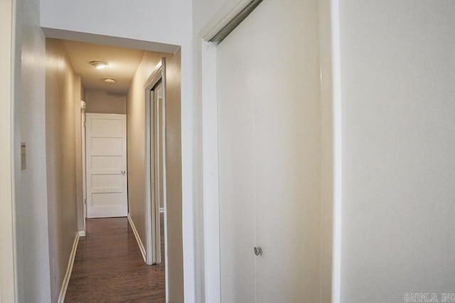 hallway with dark hardwood / wood-style floors