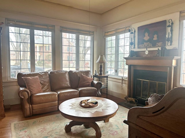 living room with hardwood / wood-style flooring