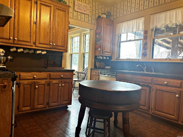 kitchen with dishwasher, a wealth of natural light, sink, and exhaust hood