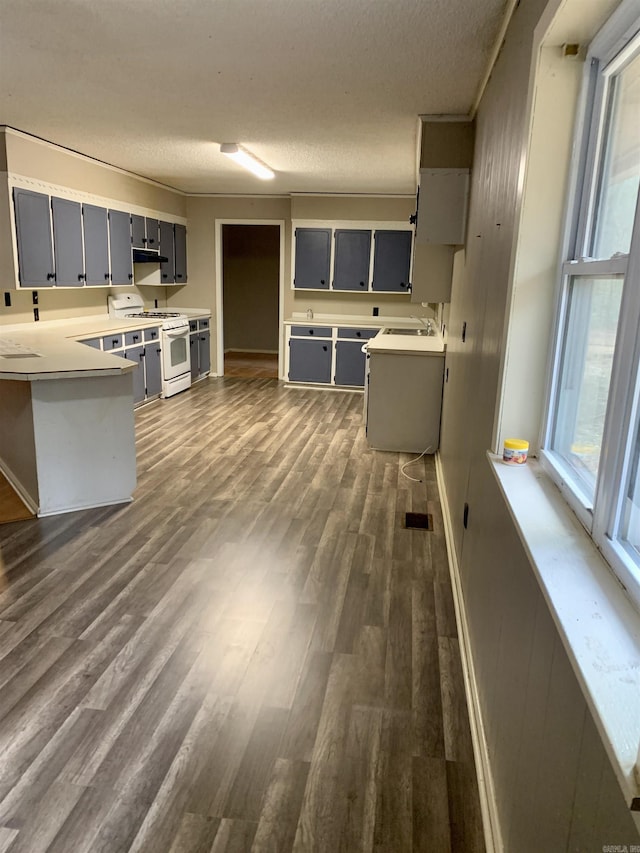 kitchen with a sink, dark wood-type flooring, white gas stove, and gray cabinetry