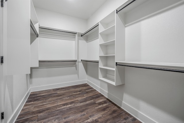 spacious closet with dark wood-type flooring