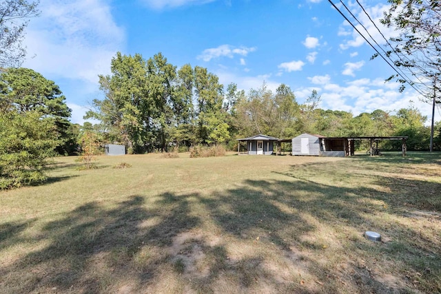 view of yard featuring a storage shed