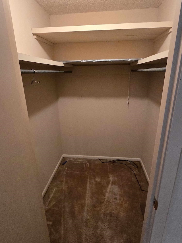 spacious closet with dark colored carpet