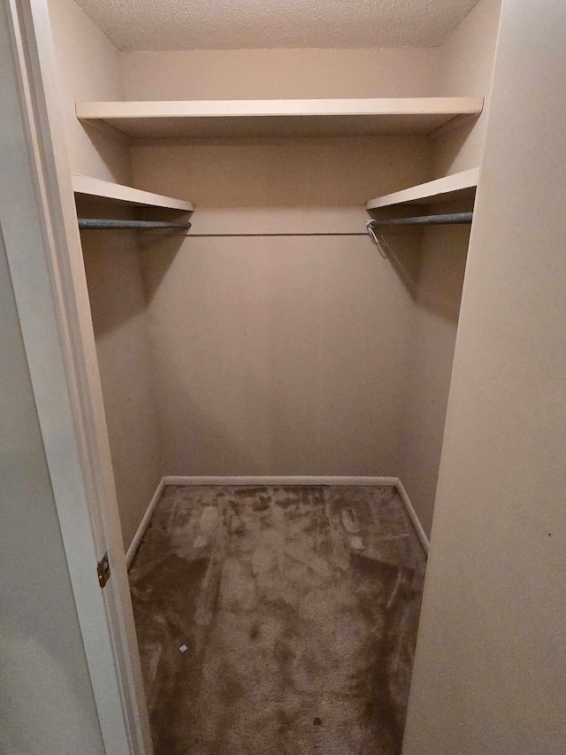 spacious closet with carpet flooring