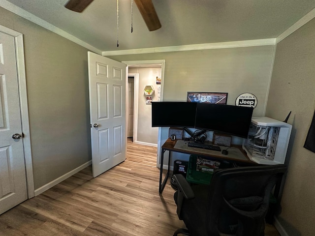 office area featuring crown molding, light hardwood / wood-style flooring, and ceiling fan