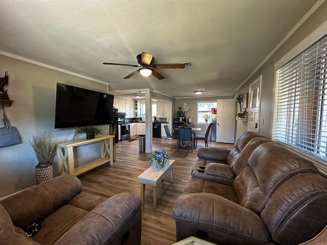 living room with hardwood / wood-style flooring, ornamental molding, ceiling fan, and a textured ceiling