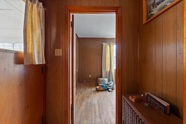 hallway with hardwood / wood-style flooring and wood walls