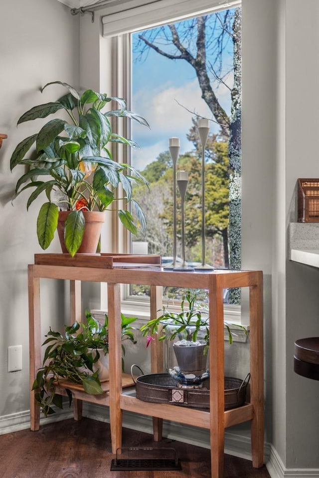 details featuring hardwood / wood-style floors