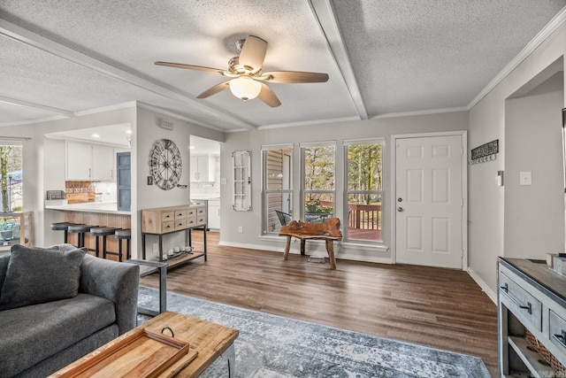 living room with crown molding, a textured ceiling, and dark hardwood / wood-style flooring