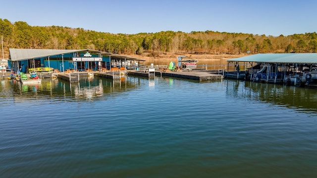 view of dock with a water view