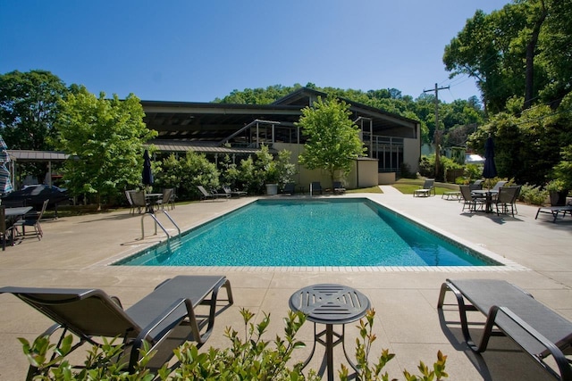 view of pool featuring a patio