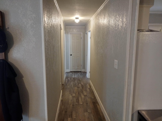 hallway with crown molding and dark hardwood / wood-style floors