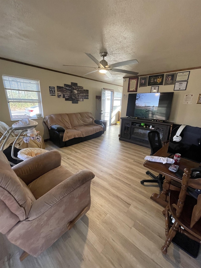 living room with ceiling fan, ornamental molding, light hardwood / wood-style flooring, and a textured ceiling