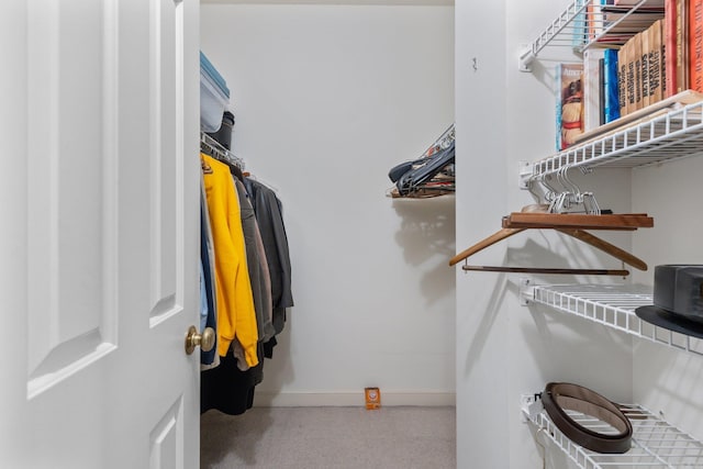 view of walk in closet