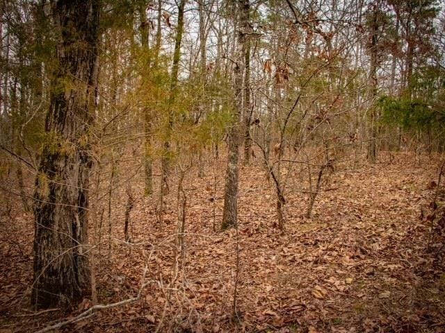 Listing photo 2 for 0 W Colonel Glenn Rd, Little Rock AR 72210