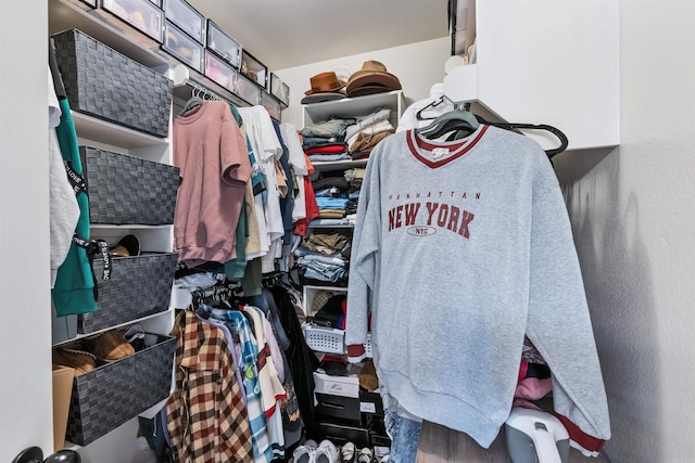 view of spacious closet