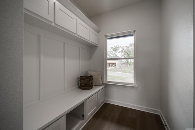 mudroom with dark wood-type flooring