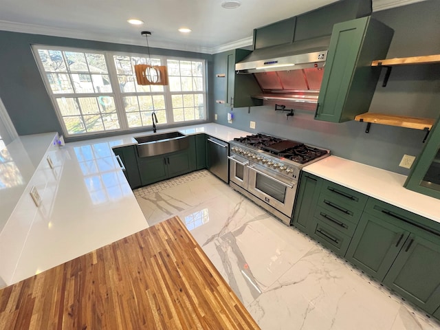 kitchen with crown molding, green cabinets, stainless steel appliances, and sink