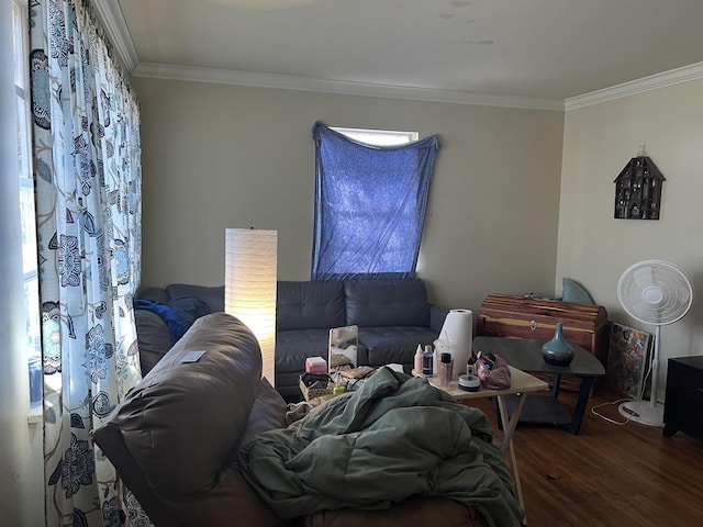 living room featuring dark wood-type flooring and crown molding