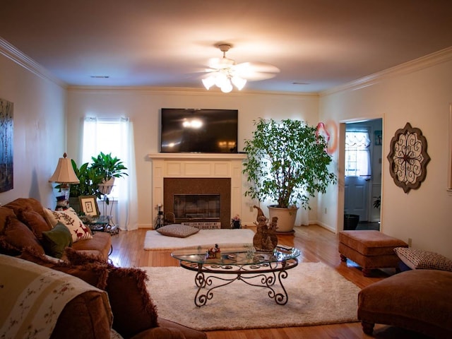 living room with ceiling fan, ornamental molding, and light hardwood / wood-style flooring