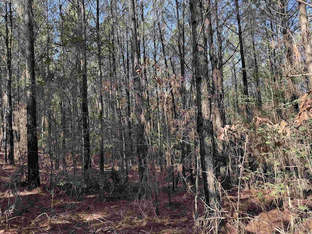 Listing photo 2 for TBD Polk Road 13, Wickes AR 71953