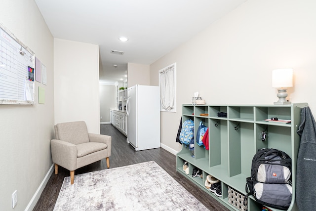 mudroom featuring dark hardwood / wood-style floors