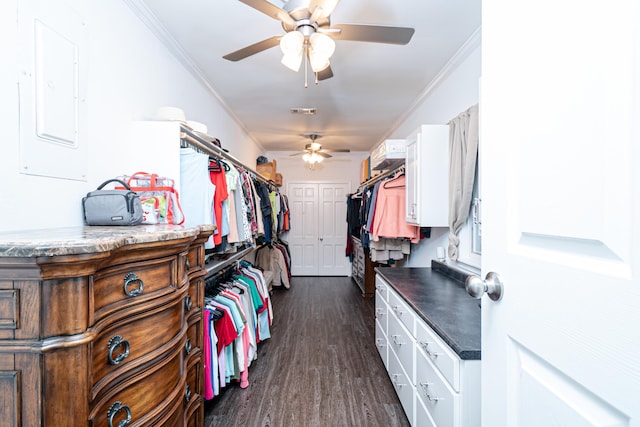 walk in closet featuring electric panel, dark hardwood / wood-style floors, and ceiling fan