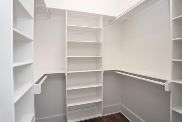 spacious closet featuring dark wood-type flooring