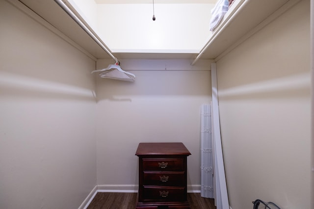 spacious closet featuring dark hardwood / wood-style floors