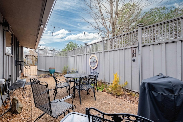 view of patio / terrace with grilling area