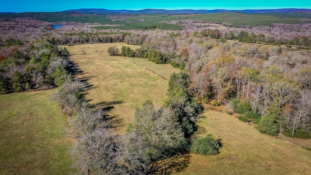 drone / aerial view featuring a mountain view