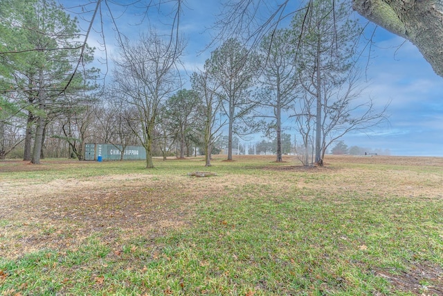 view of yard featuring a storage shed