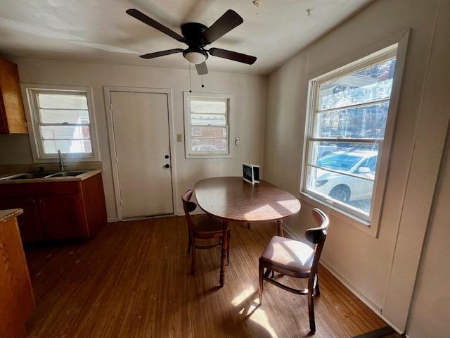 dining room featuring sink, hardwood / wood-style floors, and ceiling fan