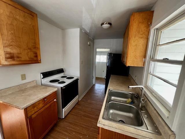 kitchen with dark hardwood / wood-style flooring, sink, and white range with electric stovetop