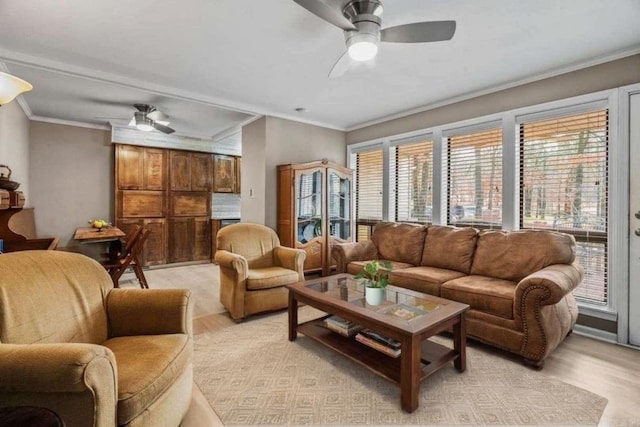 living room featuring crown molding, ceiling fan, and light hardwood / wood-style flooring