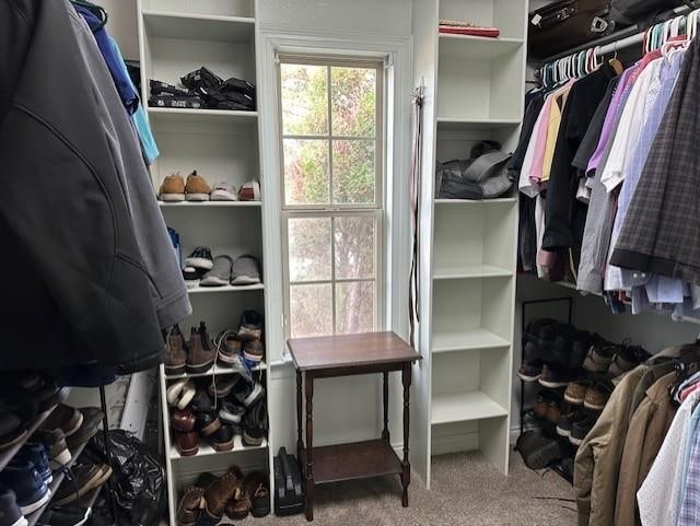 walk in closet featuring carpet flooring