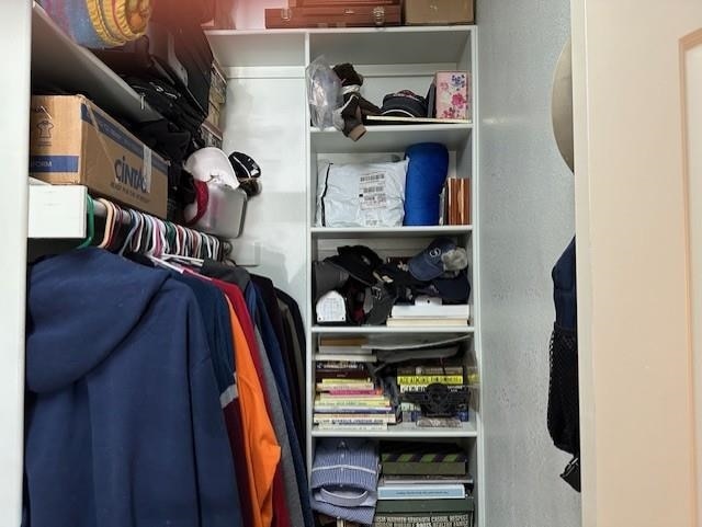 view of walk in closet