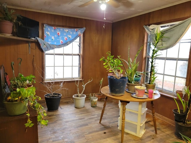 dining room with crown molding, ceiling fan, wooden walls, and hardwood / wood-style flooring