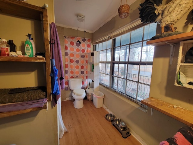 bathroom featuring crown molding, toilet, and hardwood / wood-style floors