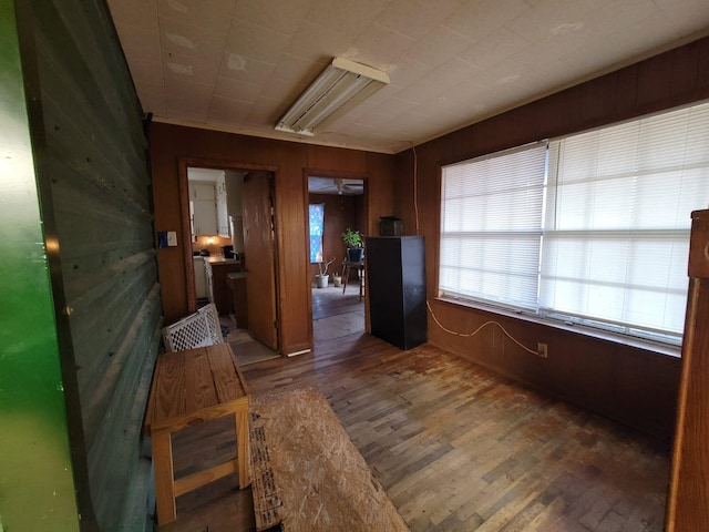 interior space with dark wood-type flooring and wooden walls