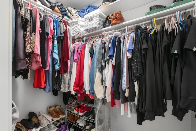 view of walk in closet