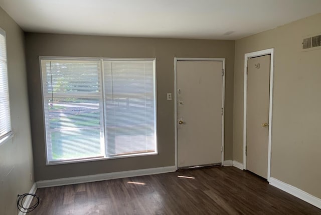 entryway featuring dark hardwood / wood-style floors and a wealth of natural light